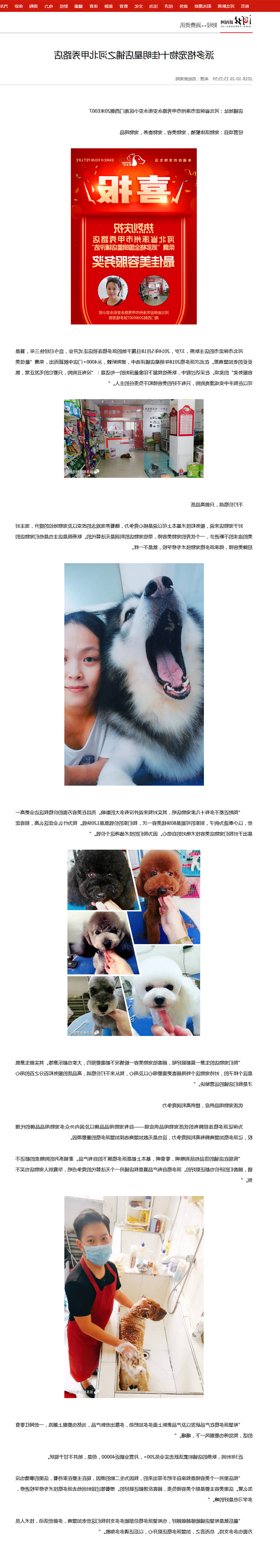 派多格宠物十佳明星店铺之河北甲秀路店_河北新闻网.png